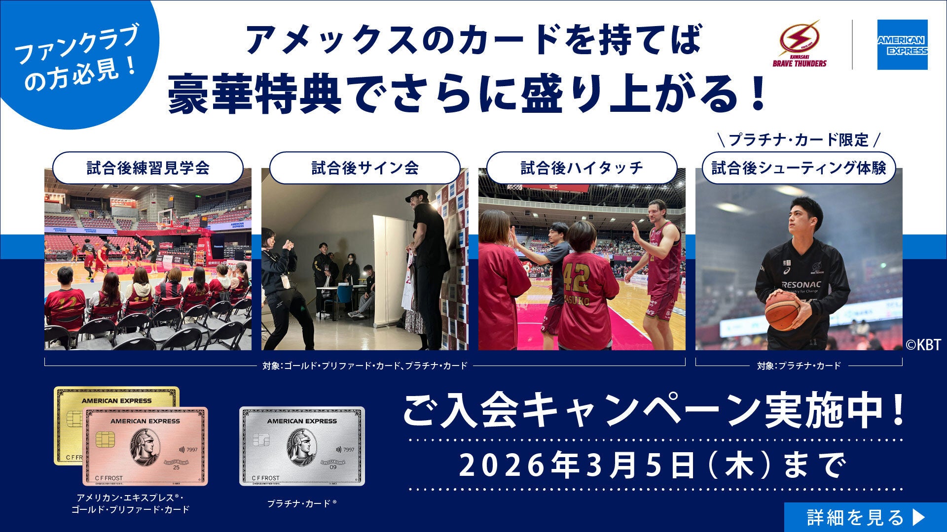 奇祭のプルフィネス 岩崎 基矢 | Shutokō Battle Rival Database Wiki | Fandom