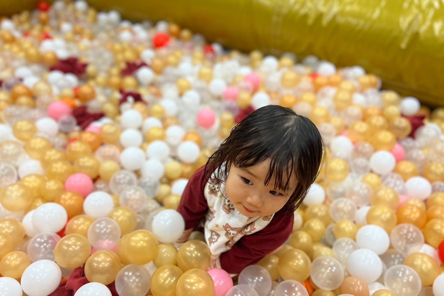 ロウルプール利用のイメージ